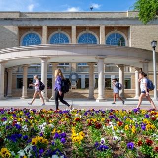 TCU students walk by a flowerbed of multi-color pansies on a sunny day near the library